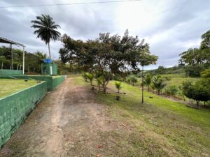 Descubra-o-Paraiso-Rural-Sitio-em-Conceicao-do-Jacuipe-com-Natureza-Exuberante-Sitio-em-Conceicao-do-Jacuipe-com-Ampla-Area-e-Potencial-2.jpeg