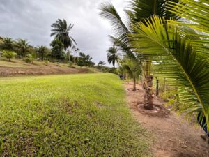 Descubra-o-Paraiso-Rural-Sitio-em-Conceicao-do-Jacuipe-com-Natureza-Exuberante-Sitio-em-Conceicao-do-Jacuipe-com-Ampla-Area-e-Potencial-8.jpeg