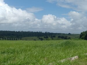 casa-a-venda-em-conceicao-do-jacuipe-ba-berimbal-terreno.jpeg