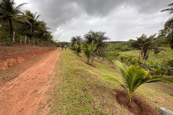 Descubra-o-Paraiso-Rural-Sitio-em-Conceicao-do-Jacuipe-com-Natureza-Exuberante-Sitio-em-Conceicao-do-Jacuipe-com-Ampla-Area-e-Potencial-1.jpeg